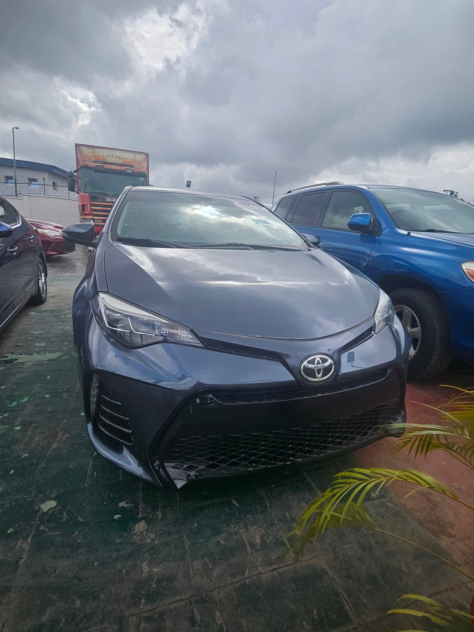 2019 Toyota Corolla, L